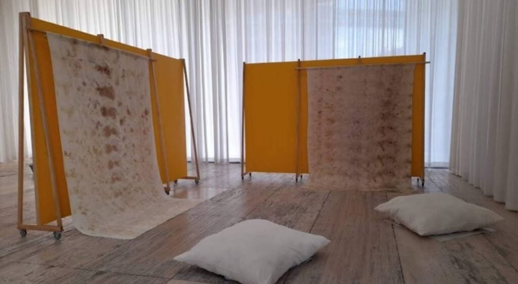 ACTIONS AT A DISTANCE – Pharmakon JUMEX Museum Curator Kit Hammonds Mexico City February March 2022