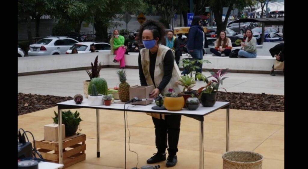 Vegetal sound machine translator – Terence Máquina NOV 2021 – Sound Plus festival Anahuacalli Museum, Mexico City