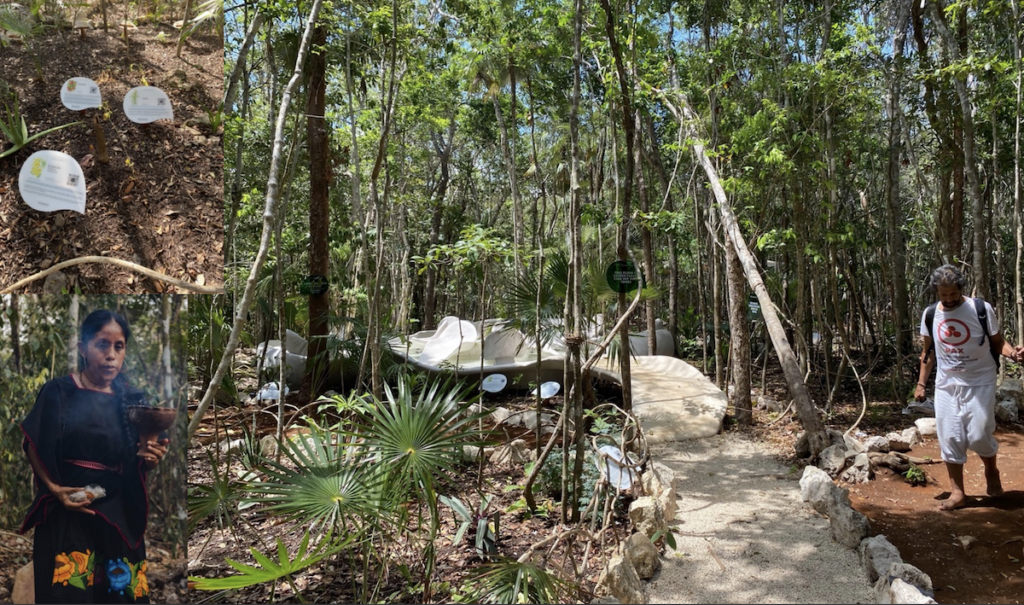 En-Chanted Garden Tulum, Mexico 2023 2014 ongoing