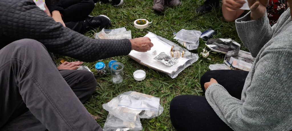 lab semillas quindio